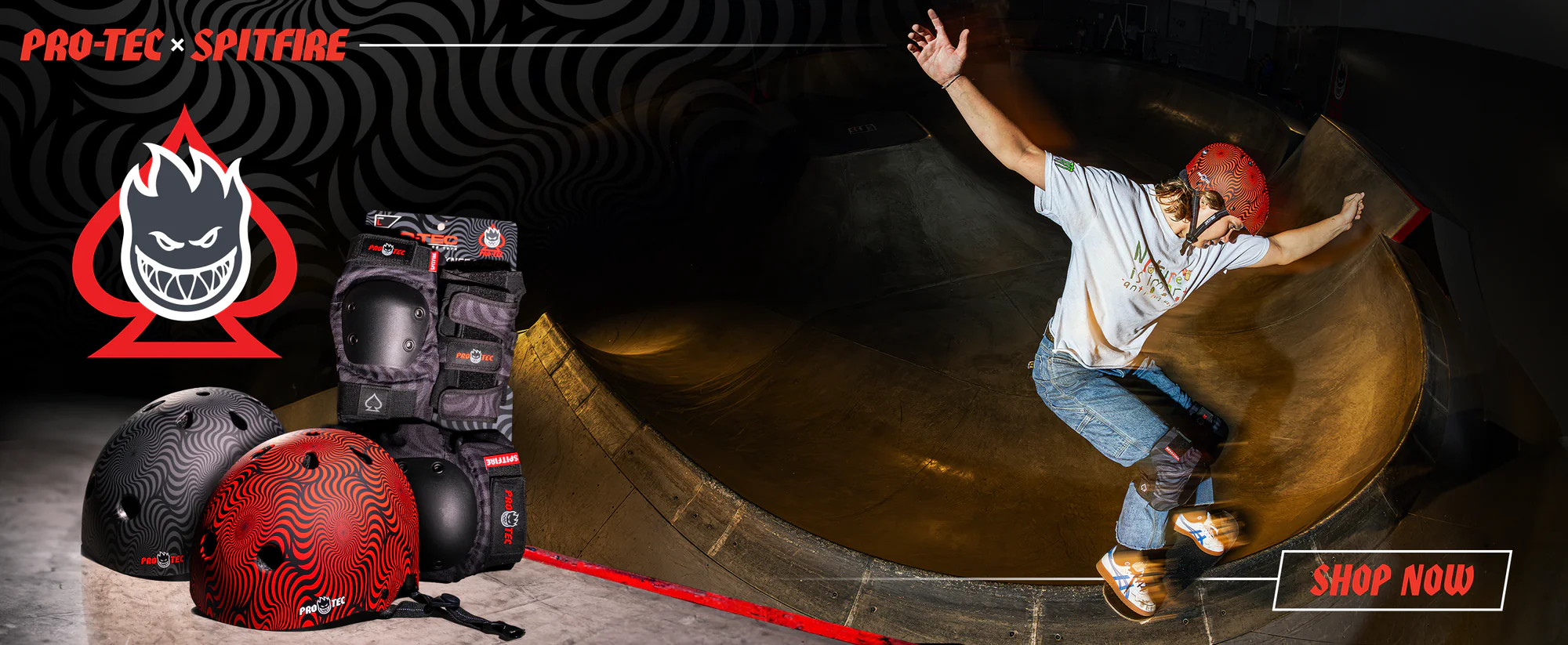 Protecting Progress Since 1973